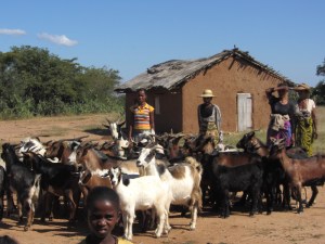 aprovechamiento_recursos_2