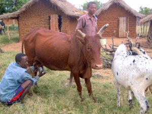 aprovechamiento_recursos_4