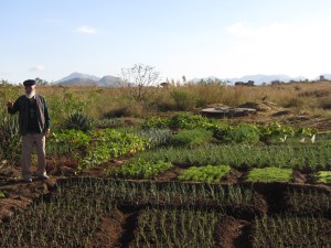 jardines_potajeros_2