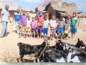 Todos cooperan en sostener y mejorar las escuelas